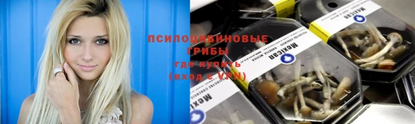 тгк Краснотурьинск